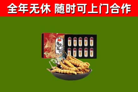 五家渠市烟酒回收冬虫夏草礼盒.jpg