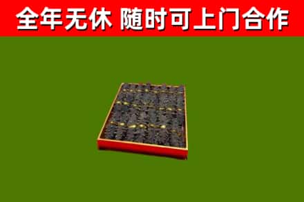 五家渠市回收海参